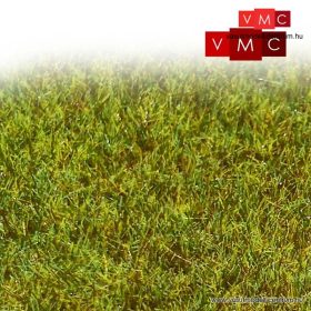   VMC 70006 Nyírségi mező, sztatikus szórható fű, 2 mm (20 g)