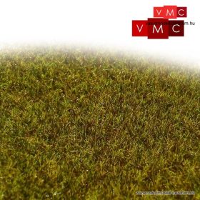   VMC 70007 Beregi síkság, sztatikus szórható fű, 2 mm (20 g)