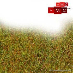  VMC 70008 Bácskai löszhát, sztatikus szórható fű, 2 mm (20 g)