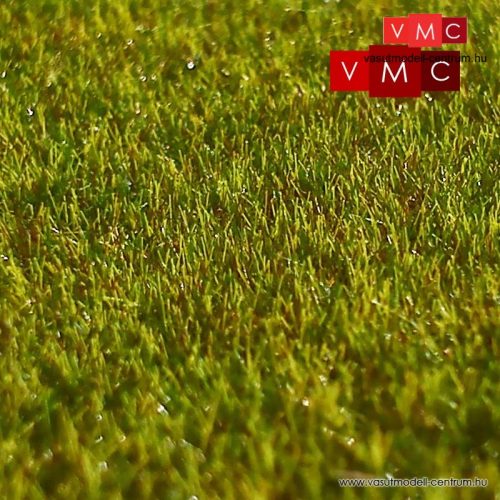 VMC 70053 Börzsönyi tisztás, sztatikus szórható fű, 2 mm - 100g