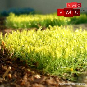 VMC 72012 Virágfesték, Gyermekláncfű, 8 g