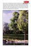 Woodland Scenics C1207 Terepépítési kézikönyv, angol nyelven - The Scenery Manual