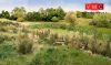 Woodland Scenics FG171 Szórható hosszúszálú fű, szalma - Natural Straw Field Grass
